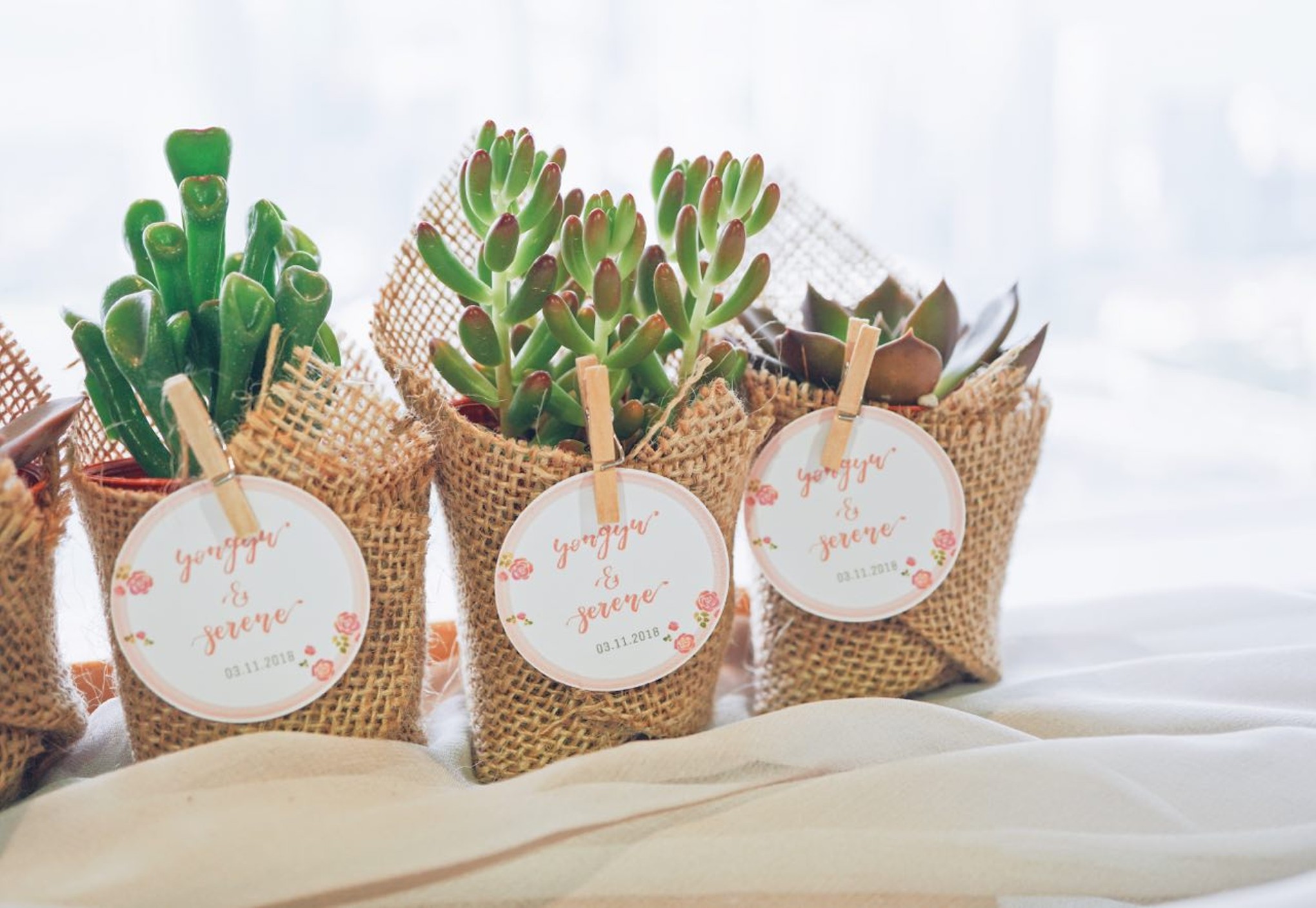 Sekali Seumur Hidup, Berikut 5 Tips Memilih Wedding Organizer Agar Tidak Kecewa