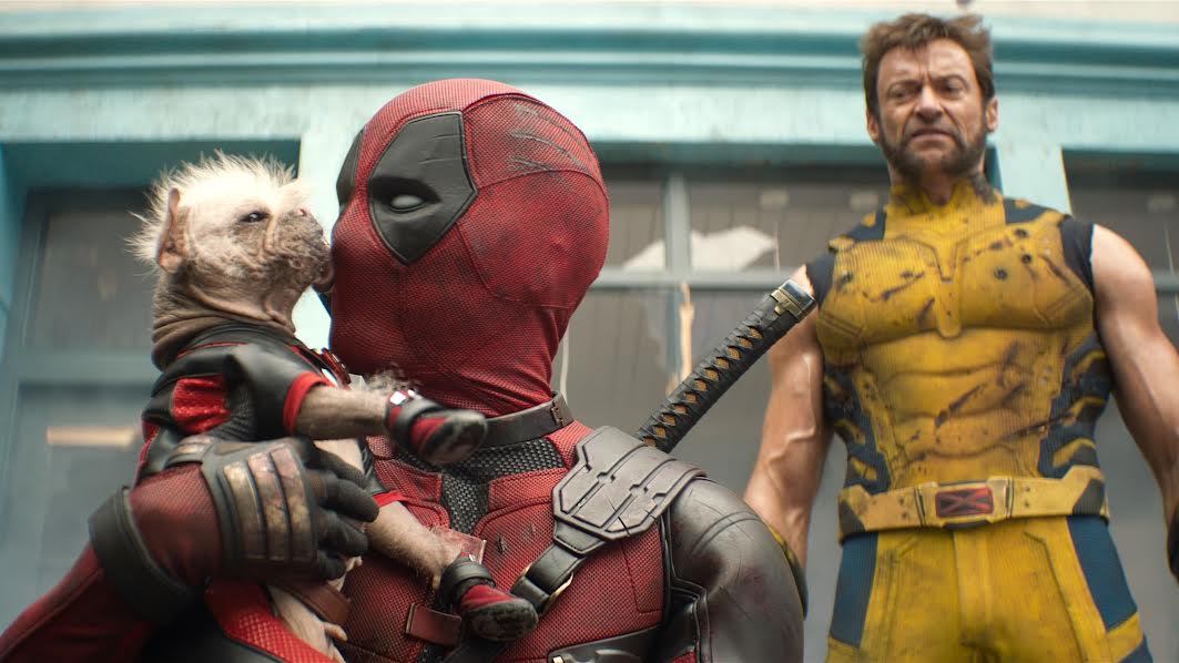 November Bertabur Bintang, Ini Deretan Tontonan Terbaru di Disney+ Hotstar