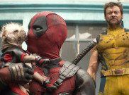 November Bertabur Bintang, Ini Deretan Tontonan Terbaru di Disney+ Hotstar