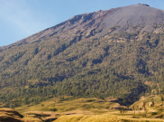 Tidur Panjang Gunung Rinjani Pasca Gempa
