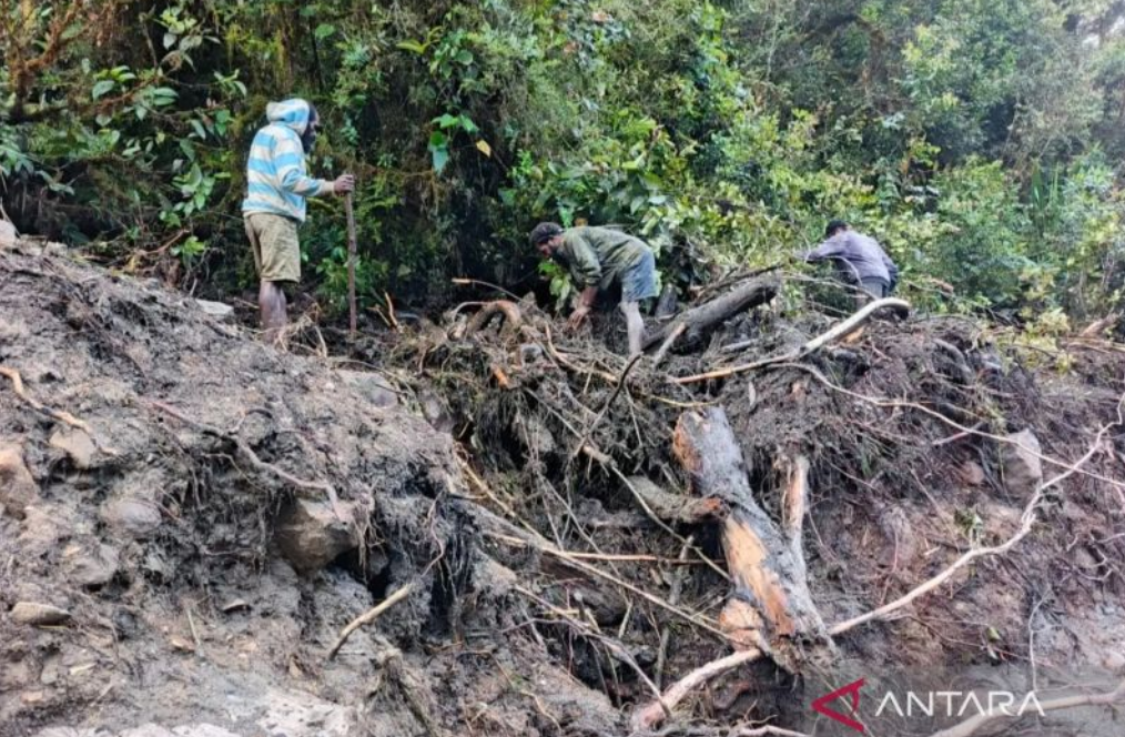 Waspada Bencana Susulan di Papua dan Papua Barat Daya, BMKG Beri Sinyal Hujan Lebat di Raja Ampat