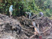 Waspada Bencana Susulan di Papua dan Papua Barat Daya, BMKG Beri Sinyal Hujan Lebat di Raja Ampat