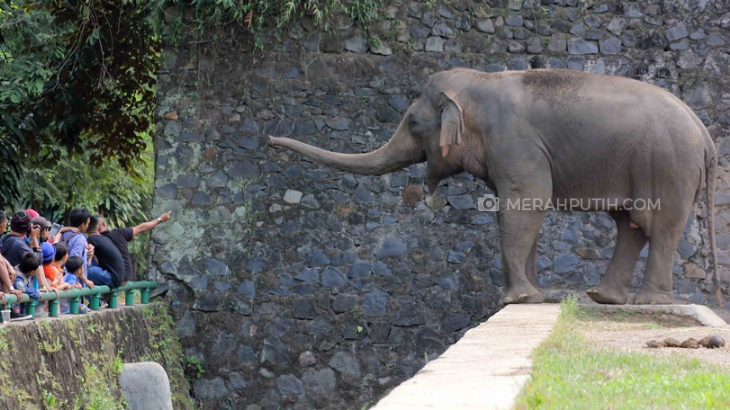 Sambut Pemilu 2019, Pemprov DKI Beri Diskon Wisata di Jakarta