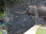 Sambut Pemilu 2019, Pemprov DKI Beri Diskon Wisata di Jakarta