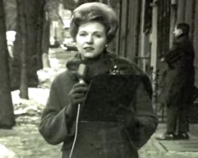 boston strangler
