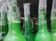 Mengenal Minuman Tradisional Saguer dari Sulawesi Utara