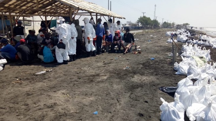 Pengumpulan limbah minyak di Pulau Jakarta. (Antaranews)