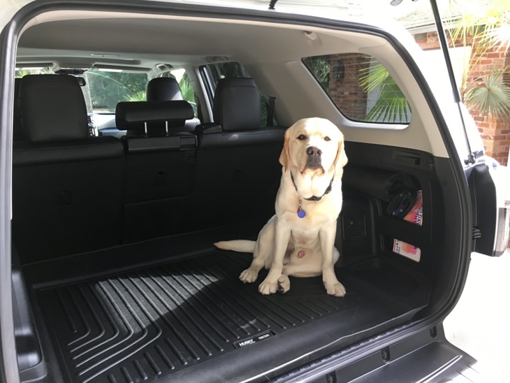 toyota 4 runner