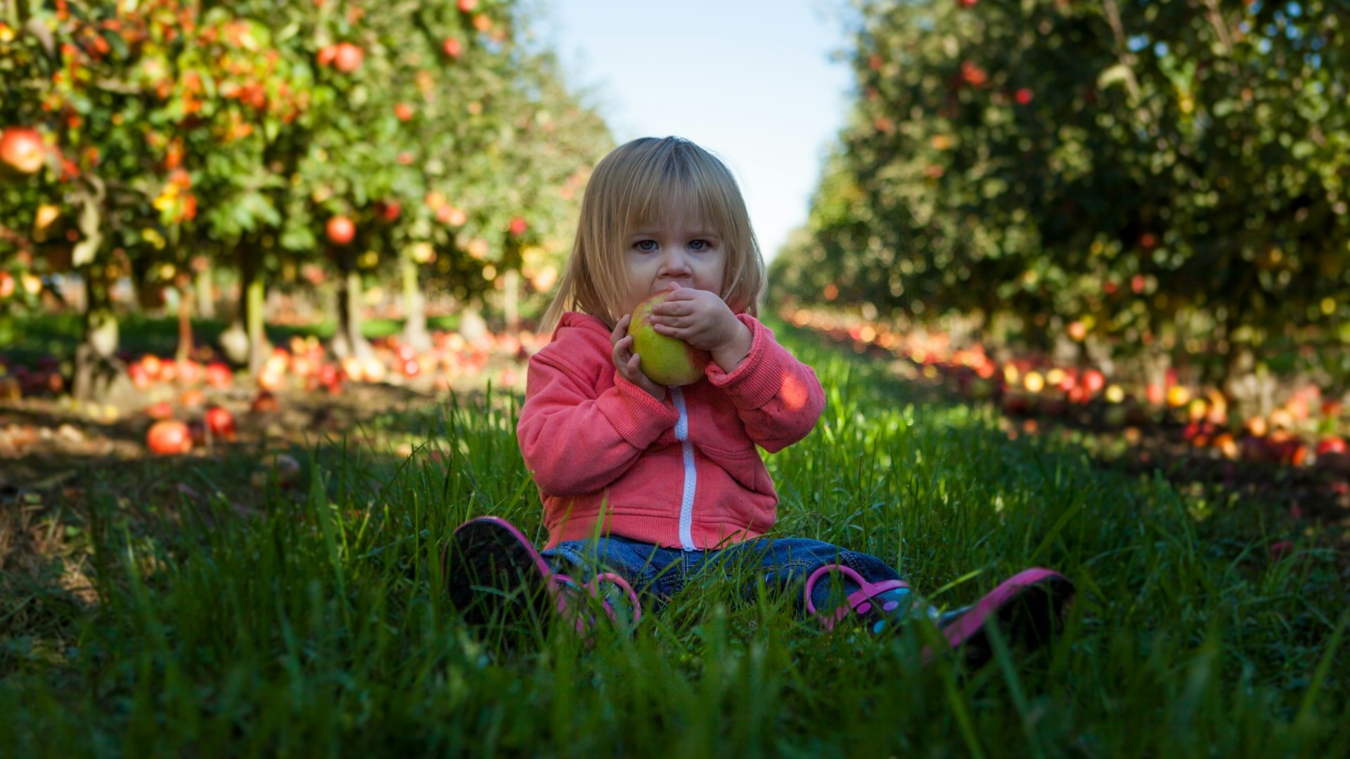 5 Alternatif Camilan Sehat Pengganti Junk Food untuk Anak
