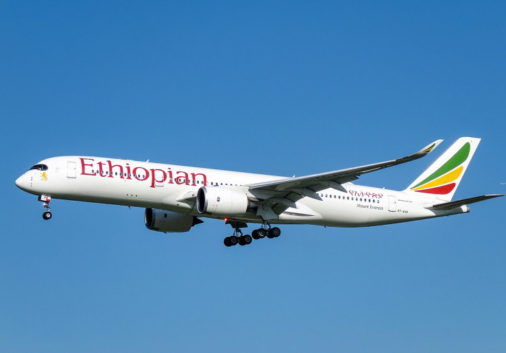 Pilot Indonesia Masuk Daftar Pembatasan Israel, Ini Kronologi Insiden Ethiopian Airlines