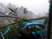  Hujan Es Landa Wilayah Yogyakarta, Satu Warga Terluka dan Pohon-Pohon Tumbang