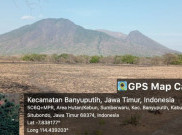 Kebakaran Taman Nasional Baluran Capai 160,61 Hektare