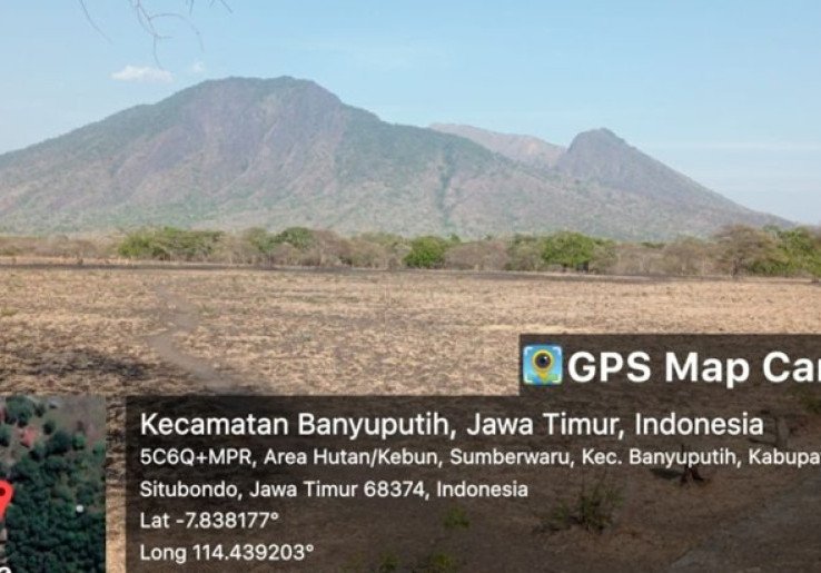 Kebakaran Taman Nasional Baluran Capai 160,61 Hektare