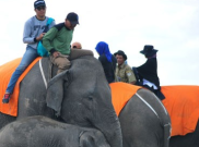 Ngabuburit di Habitat Gajah Bengkulu