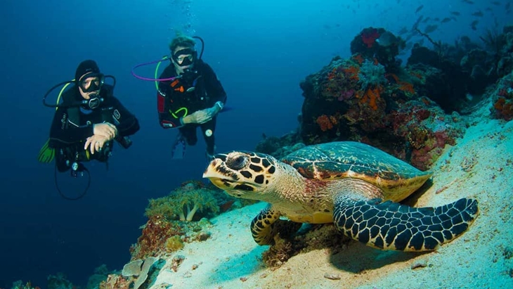 Ini Empat Resort Menyelam Indonesia yang Masuk 50 Terbaik Dunia