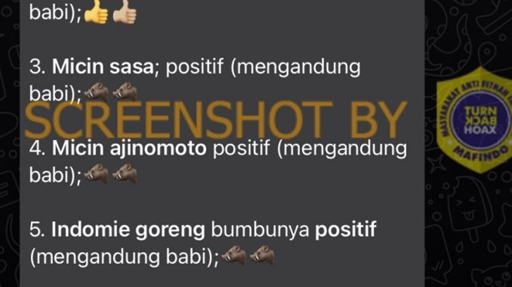 [HOAKS atau FAKTA]: Bumbu Mie Goreng Mengandung Babi