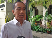 Kinerja 100 Hari Dilampui Prabowo, Jokowi: Melebihi Saya Dulu, Sesuai Feeling