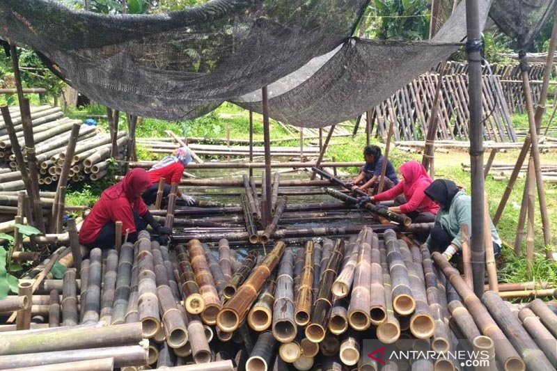 Kepakan Tangguh dari Lereng Merapi Menembus Krisis Pandemi