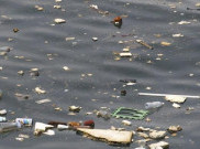 270.000 Ton Sampah Plastik Mengambang di Lautan