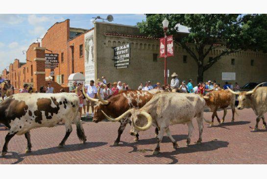 Bermain Koboi Di Kota Texas