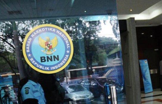BNN Berhasil Temukan Ladang Ganja di Gunung Gede-Pangrango