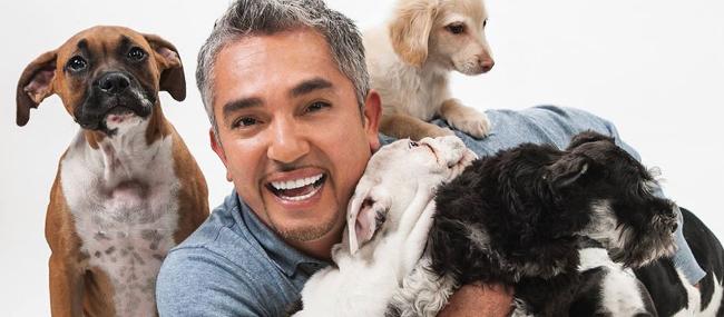 Cesar Millan Meninggal?