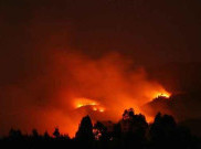 Gara-gara Puntung Rokok, 50 Hektare Sabana di Gunung Bromo Terbakar
