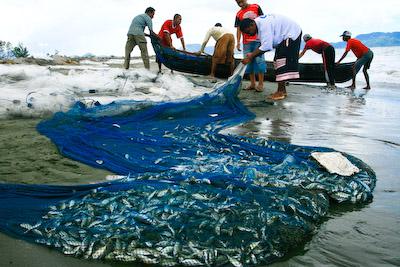 Kurangnya BBM, Nelayan di Maluku Curhat ke DPR