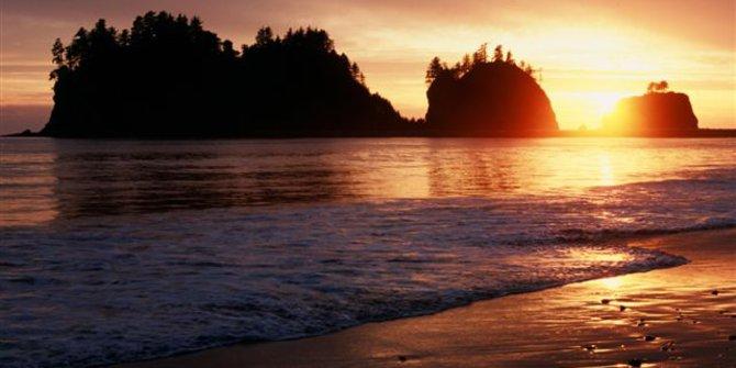 Mengintip keindahan Pantai La Push dari film Twilight