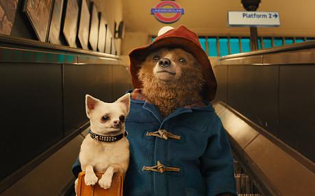 Petualangan Paddington Bear Hadir di Layar Lebar