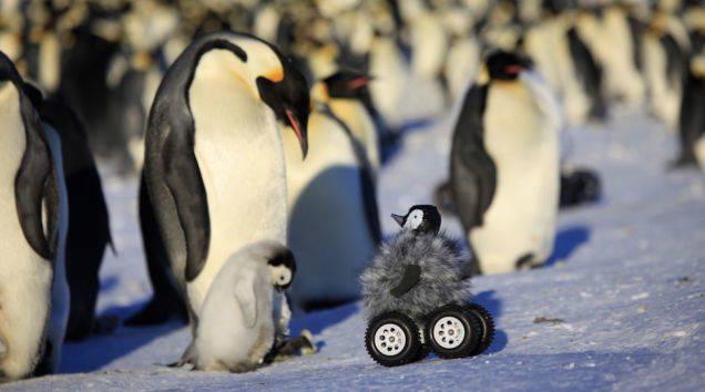Robot Pinguin Bermain Bersama Bayi Pinguin