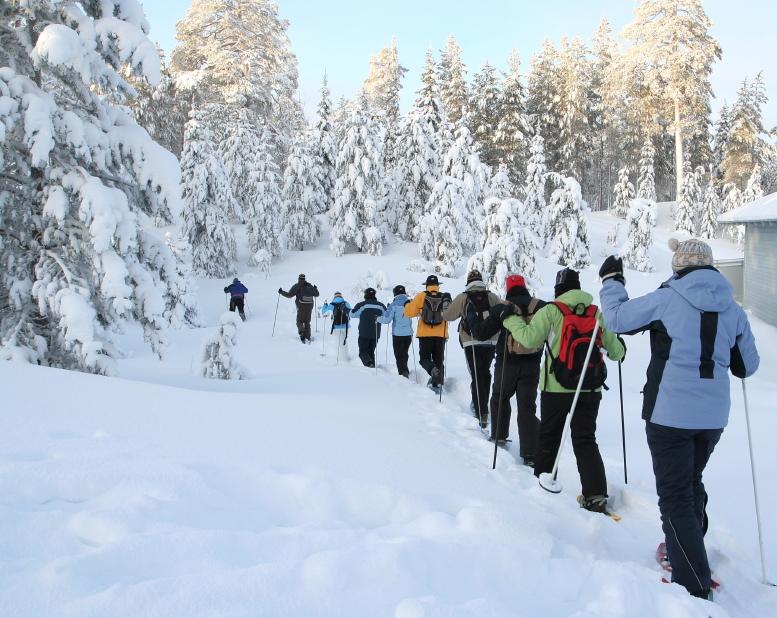 Snow Adventure Di Negeri Sakura